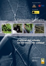 II - Fundación para la Cultura del Vino