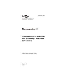 93-Processamento de Amostras para Microscopia - Embrapa Clima ...