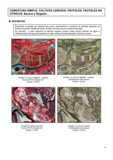 ejemplos y descripción de la interpretación visual de - Instituto ...