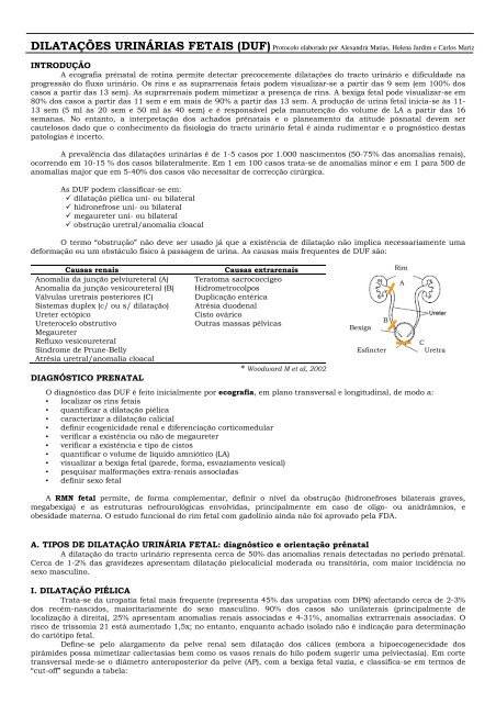 dilatação pielocalicial bilateral em recem nascido