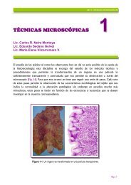 Técnicas Microscópicas