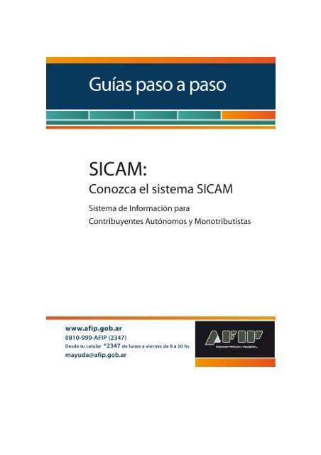 Pasos para efectuar la liquidación en el SICAM - Afip