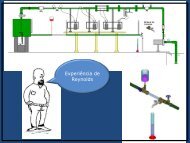 Experiência de Reynolds - Escola da Vida