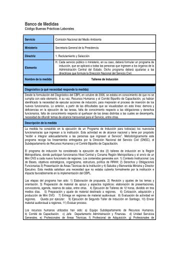 Talleres de Inducción - Servicio Civil