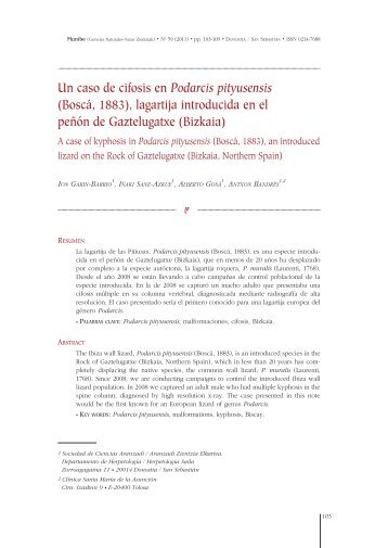 Un caso de cifosis en Podarcis pityusensis (Boscá, 1883 ... - Aranzadi