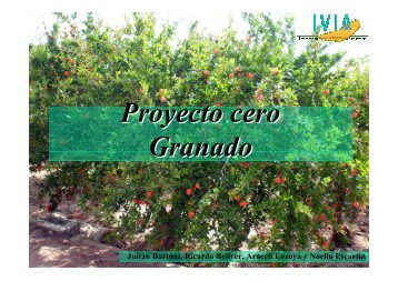 Proyecto cero Granado - IVIA