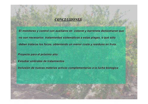 Proyecto cero Granado - IVIA