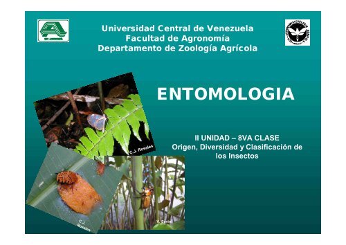 ENTOMOLOGIA - Universidad Central de Venezuela