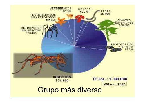 ENTOMOLOGIA - Universidad Central de Venezuela