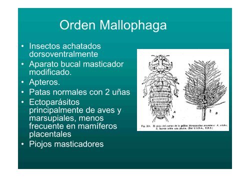 ENTOMOLOGIA - Universidad Central de Venezuela