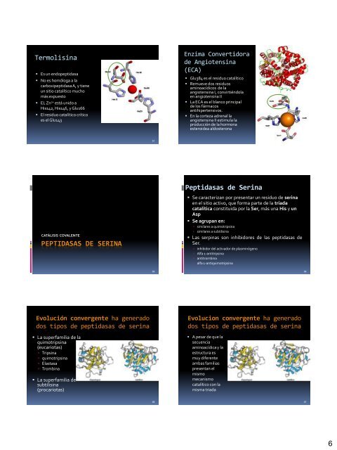 3. Proteolisis Limitada.