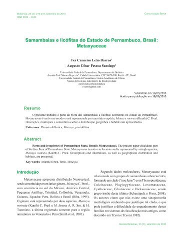 Samambaias e licófitas do Estado de Pernambuco, Brasil - Biotemas