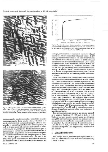 Uso de la espectroscopia Raman en la determinación de fases en el ...