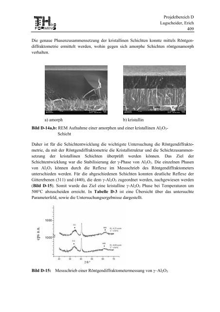 Projektbereich D Lugscheider, Erich 383 Projektbereich D ... - SFB 289