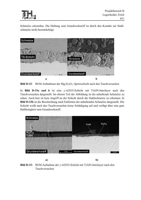 Projektbereich D Lugscheider, Erich 383 Projektbereich D ... - SFB 289