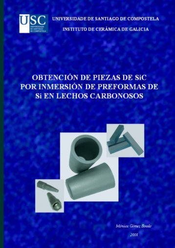 OBTENCIÓN DE PIEZAS DE SiC POR INMERSIÓN DE ...