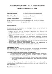 DESCRIPCIÓN SINTÉTICA DEL PLAN DE ESTUDIOS - Dirección ...