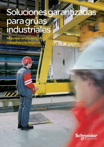 Soluciones garantizadas para grúas industriales (castellano PDF