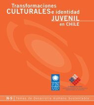 N° 9 Transformaciones Culturales e Identidad Juvenil en Chile