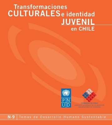 N° 9 Transformaciones Culturales e Identidad Juvenil en Chile