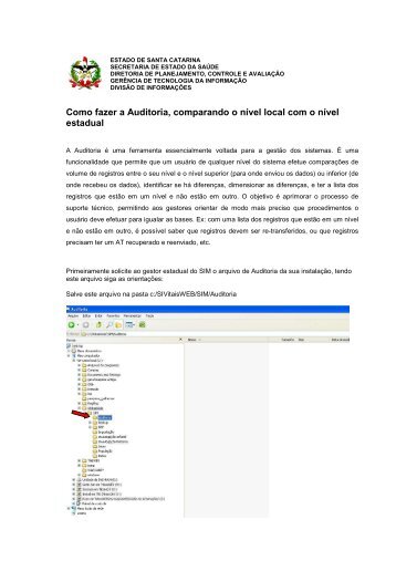 Instrutivo como fazer auditoria - Diretoria de Vigilância Epidemiológica