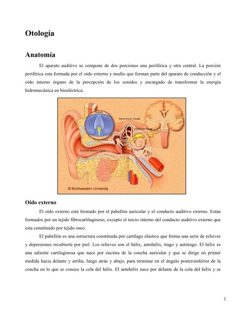 síntomas de dehiscencia del seno sigmoideo de diabetes síntomas de dehiscencia del seno sigmoideo de diabetes