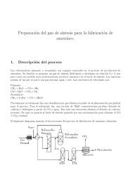 Preparación del gas de síntesis de amoníaco - Diquima