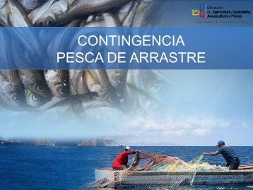 plan-contingencia-pesca-arrastre