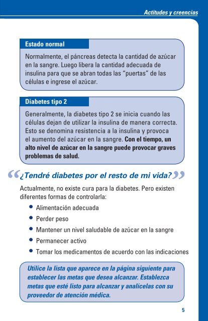 INFORMACIÓN SOBRE LA DIABETES TIPO 2 - St Vincent IPA