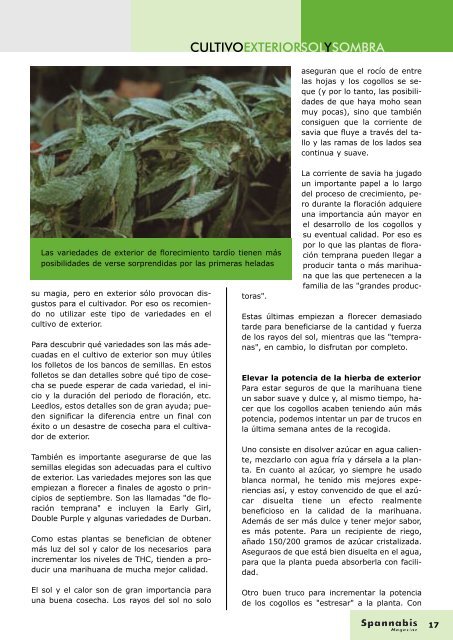 maqueta revista nº5.qxd - Cannabis Magazine
