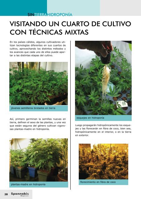 maqueta revista nº5.qxd - Cannabis Magazine