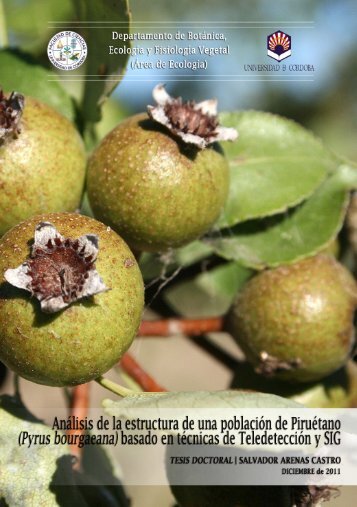 Pyrus bourgaeana - Helvia :: Repositorio Institucional de la ...