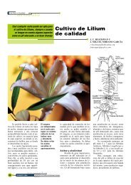 artículo revista Cultivo de Lilium de calidad - Horticom