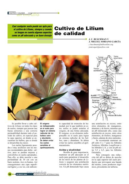 artículo revista Cultivo de Lilium de calidad - Horticom