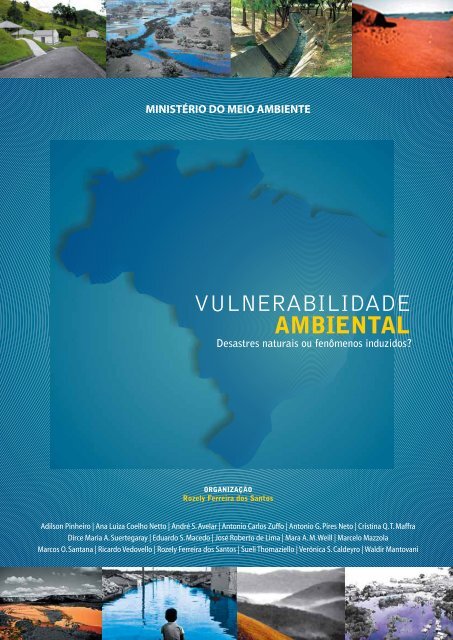 Livro - Vulnerabilidade Ambiental - Inpe