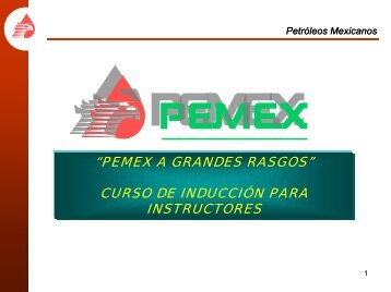 pemex a grandes rasgos - Instituto Mexicano del Petróleo