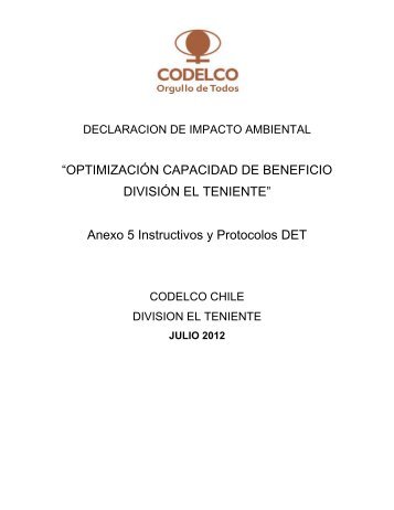 Anexo 5 Instructivos y Protocolos DET - SEA - Servicio de ...