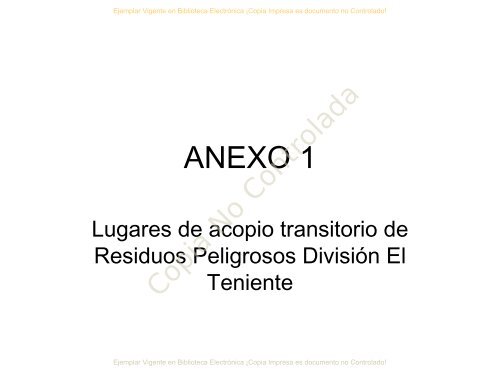 Anexo 5 Instructivos y Protocolos DET - SEA - Servicio de ...