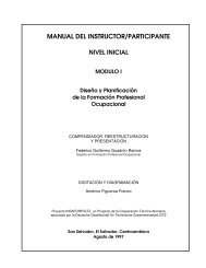 MANUAL DEL INSTRUCTOR/PARTICIPANTE - INSAFORP