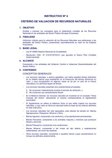 INSTRUCTIVO Nº 4 CRITERIO DE VALUACION DE RECURSOS ...