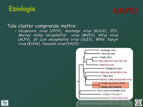 west nile e usutu - Spacs.unina.it