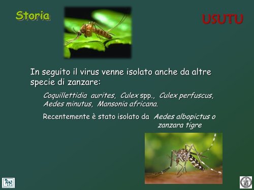 west nile e usutu - Spacs.unina.it