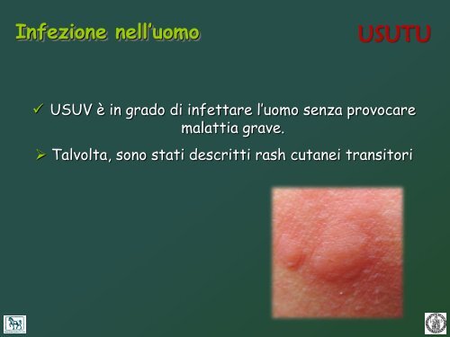 west nile e usutu - Spacs.unina.it