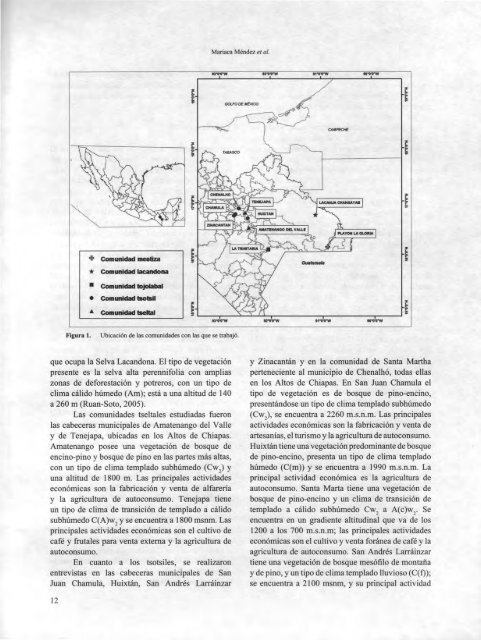 Download (PDF, 15.94MB) - Asociación Etnobiológica Mexicana, AC