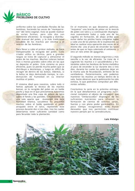 EL RINCÓN de - Cannabis Magazine