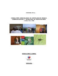 informe final consultoría especializada de hortalizas ... - Espacio Corfo