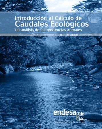 Introducción al Cálculo de Caudales Ecológicos - Endesa..