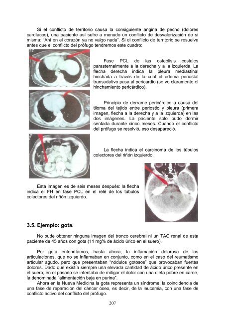 Ryke Geerd Hamer – El testamento de una Nueva Medicina