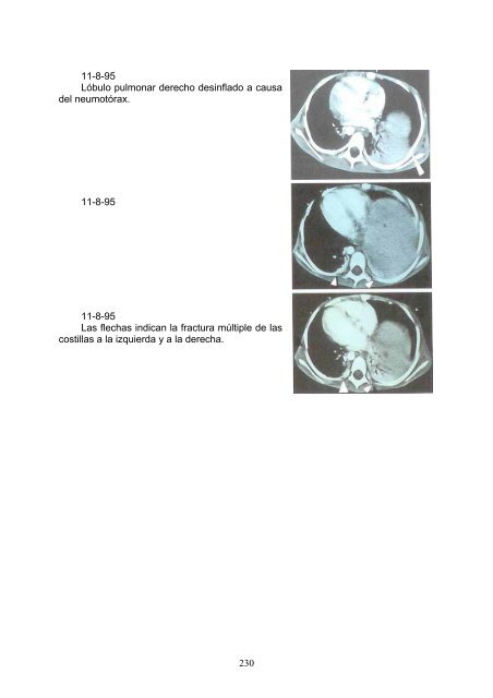 Ryke Geerd Hamer – El testamento de una Nueva Medicina