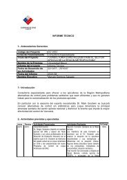 INFORME TECNICO 1.- Antecedentes Generales ... - Espacio Corfo